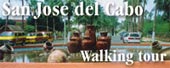 San Jose del Cabo