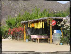 San Bartolo Baja Mexico