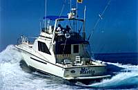 Mr Marlin